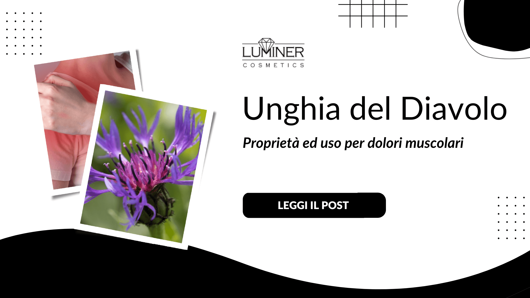 unghia-del-diavolo